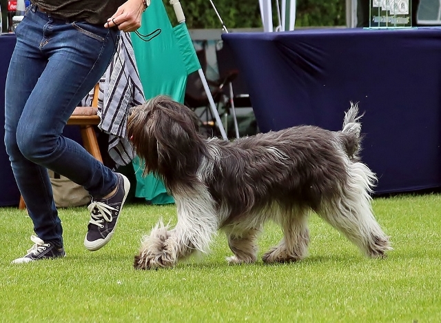 Foto: Heidrun Busse